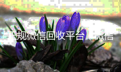 正规微信回收平24小时全天回收vx台（微信回收平台联系方式）